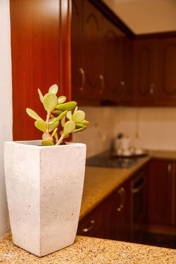 Oasis Zante Apartment Luaran gambar